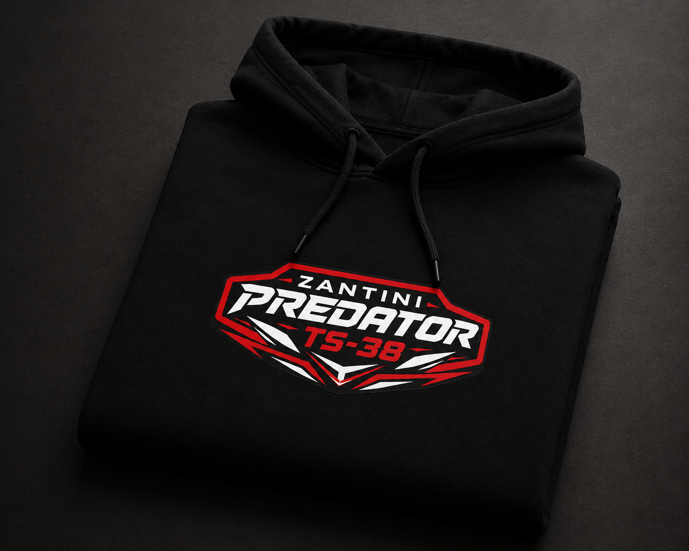 ZANTINI Predator TS-38 Hoodie — Luxury Motorsport Streetwear